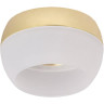 Накладной потолочный светильник IEK Lighting 4010 под лампу gx53 золото LT-UPB0-4010-GX53-1-K22